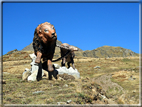 foto Monte Vertosan